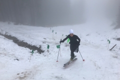 Jennerstier 2018 01