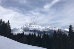 Jennerstier 2018 02