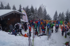 Jennerstier 2018 20