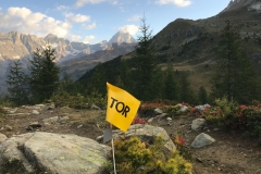 TDG 2018 37