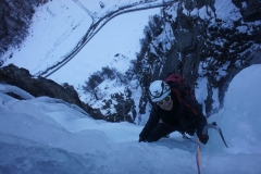 PetraWeber-09