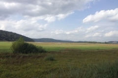 Slotrail100_2015-10