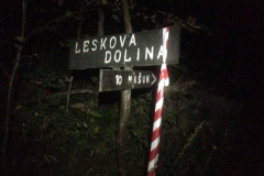 Slotrail100_2015-13